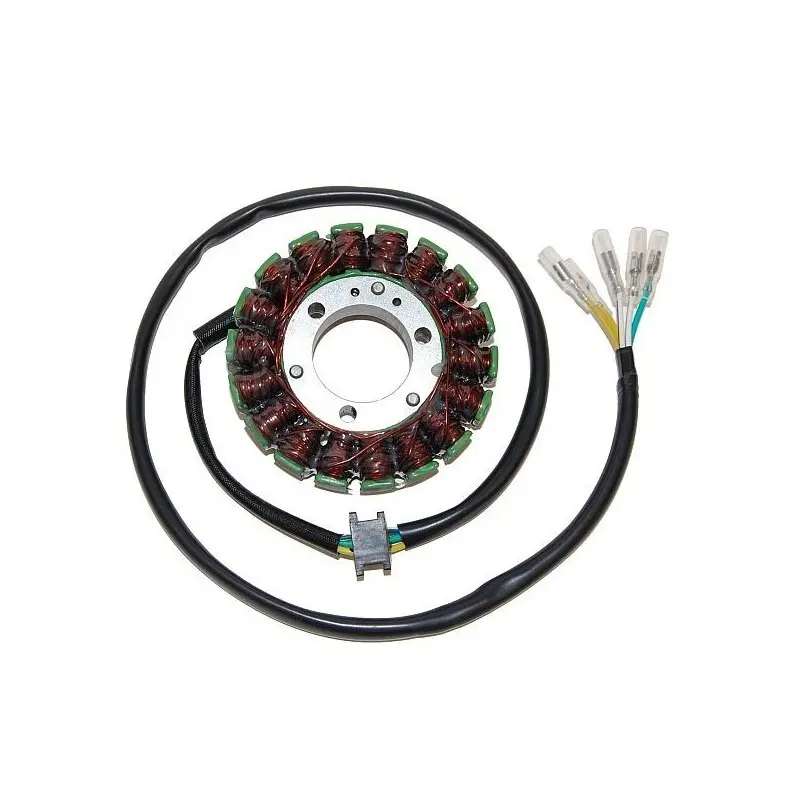 Lichtmaschine Motorrad anpassbar Original Electrosport Suzuki