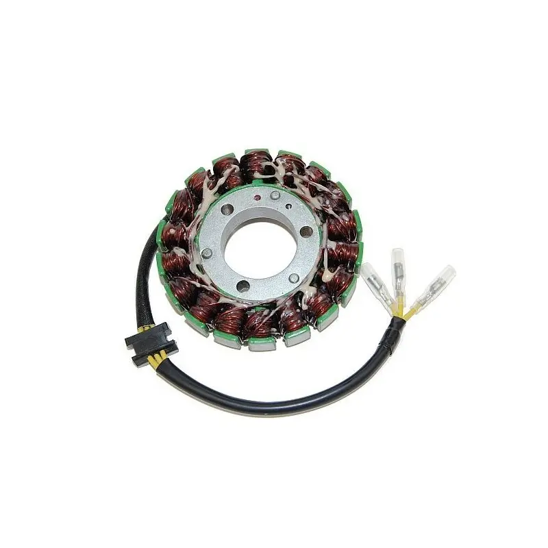 Lichtmaschine Motorrad anpassbar Original Electrosport Kawasaki