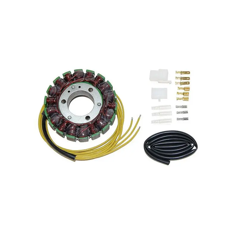 Anpassbare Lichtmaschine Electrosport Kawasaki
