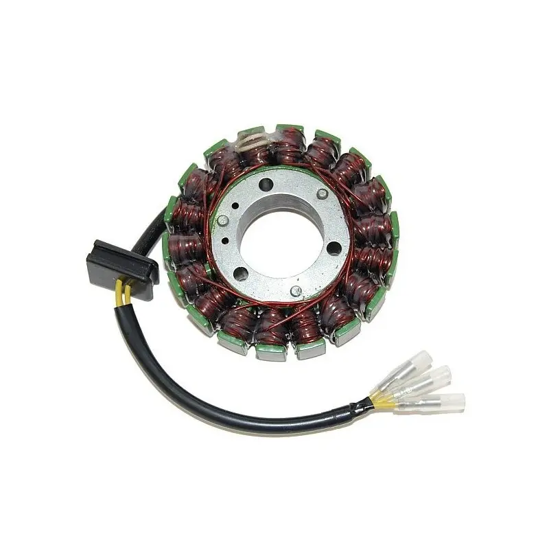 Lichtmaschine Motorrad anpassbar Original Electrosport Kawasaki