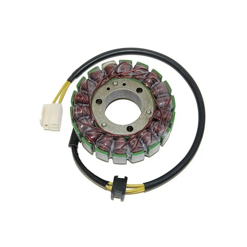 Anpassbare Lichtmaschine Electrosport Suzuki