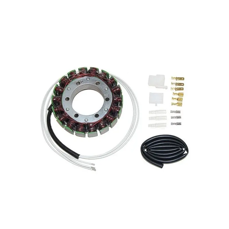 Lichtmaschine Motorrad anpassbar Original Electrosport Suzuki