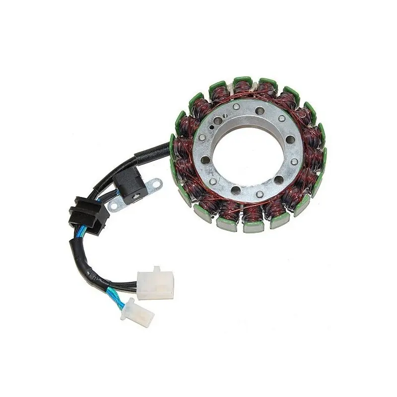 Lichtmaschine Motorrad anpassbar Original Electrosport Suzuki