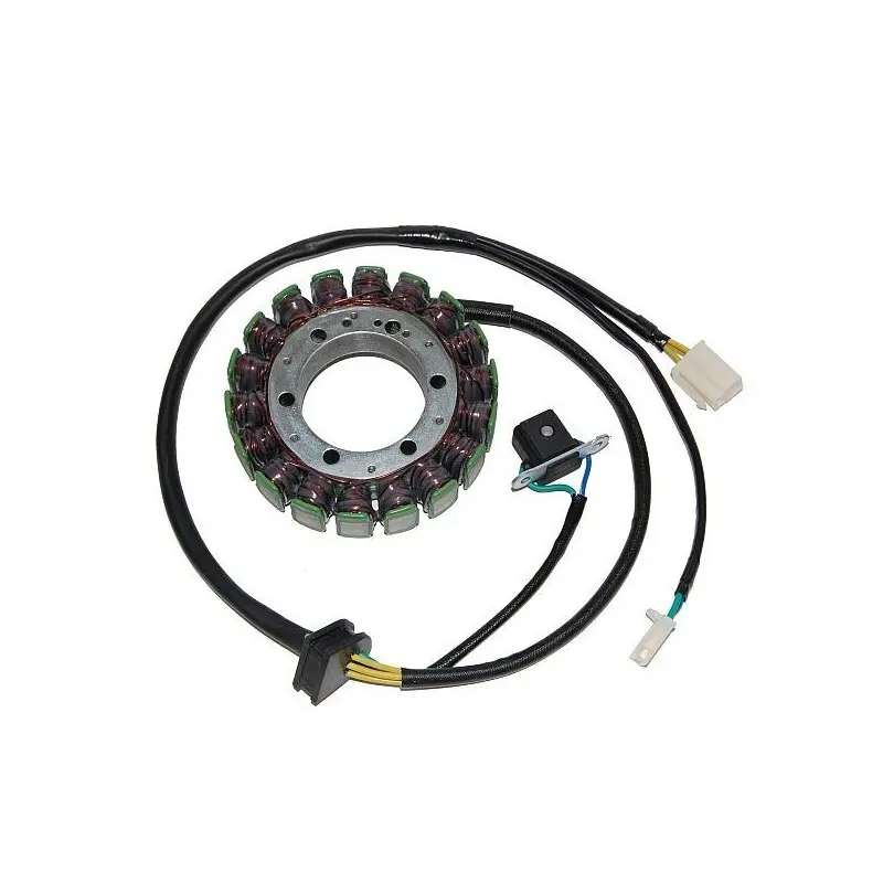 Lichtmaschine Motorrad anpassbar Original Electrosport Suzuki