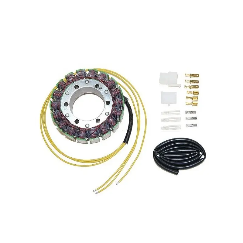 Anpassbare Lichtmaschine Electrosport Honda/Suzuki