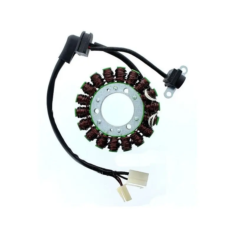 Lichtmaschine Motorrad anpassbar Original Electrosport Suzuki