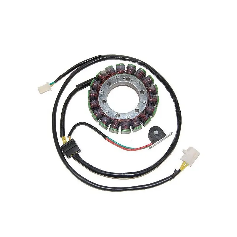 Lichtmaschine Motorrad anpassbar Original Electrosport Suzuki