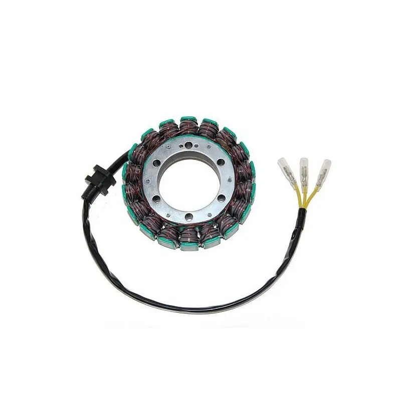 Lichtmaschine Motorrad anpassbar Original Electrosport Kawasaki
