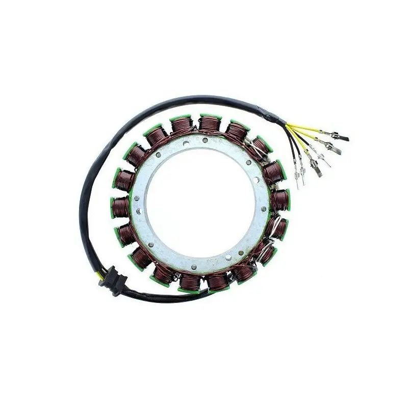 Anpassbare Lichtmaschine Electrosport Kawasaki