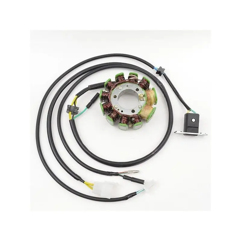 Lichtmaschine Motorrad anpassbar Original Electrosport Honda