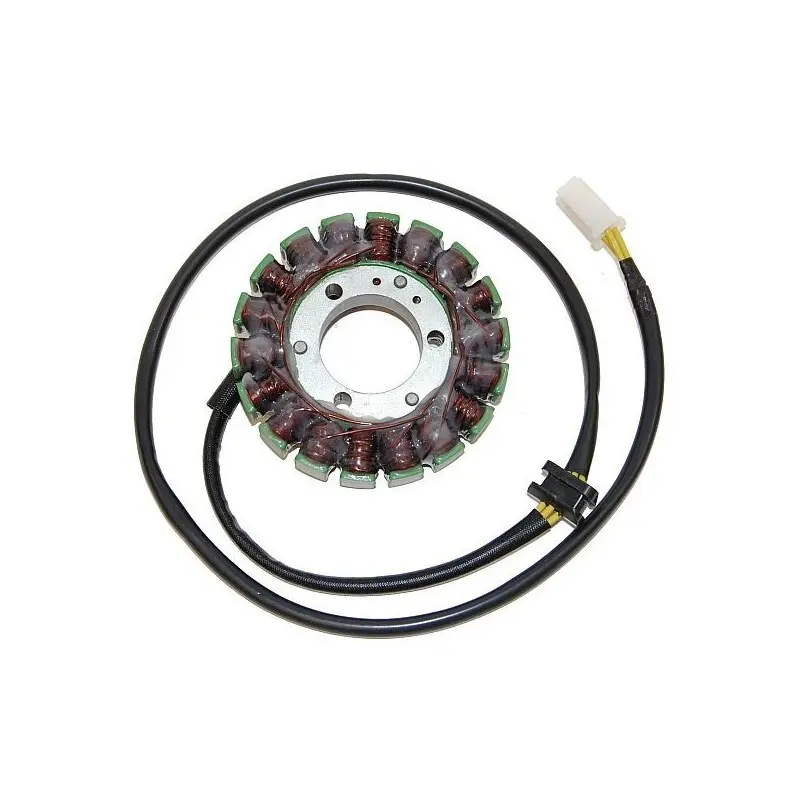 Lichtmaschine Motorrad anpassbar Original Electrosport Kawasaki