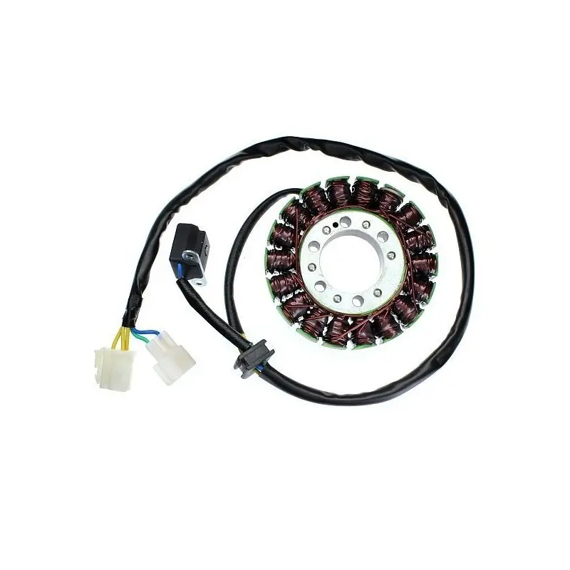Lichtmaschine Motorrad anpassbar Original Electrosport Hyosung