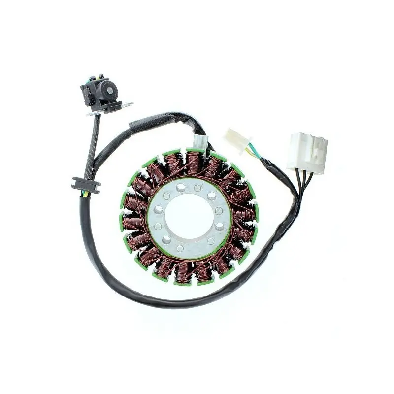 Lichtmaschine Motorrad anpassbar Original Electrosport Kawasaki