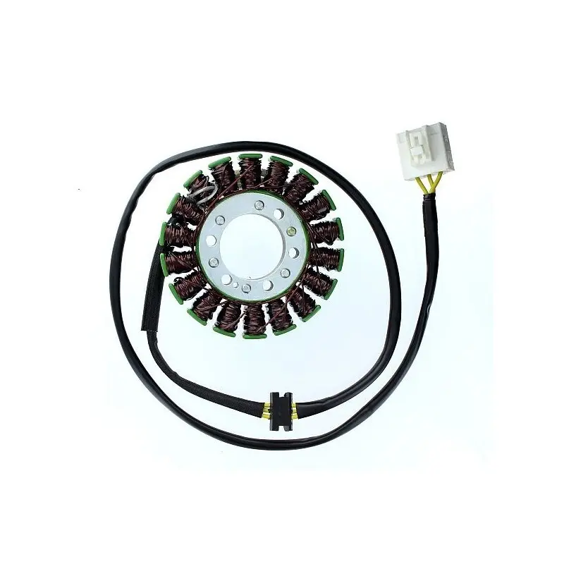 Lichtmaschine Motorrad anpassbar Original Electrosport Kawasaki