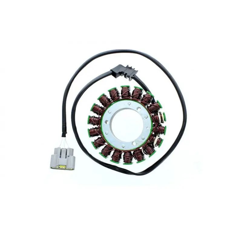 Anpassbare Lichtmaschine Electrosport Yamaha