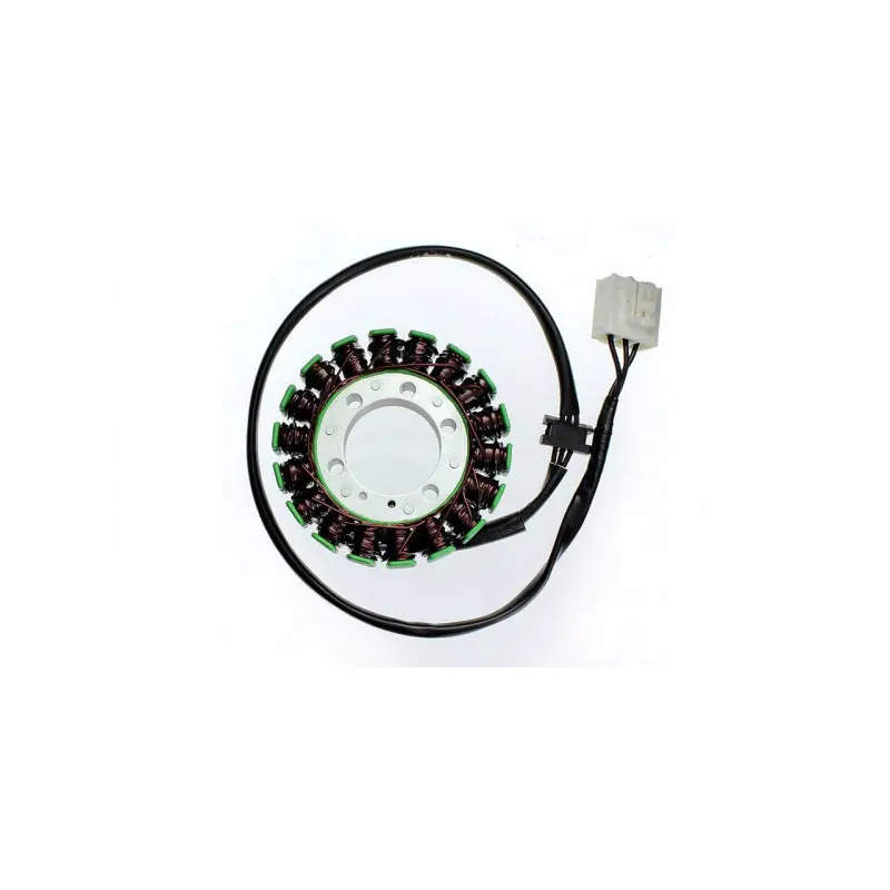 Anpassbare Lichtmaschine Electrosport Kawasaki