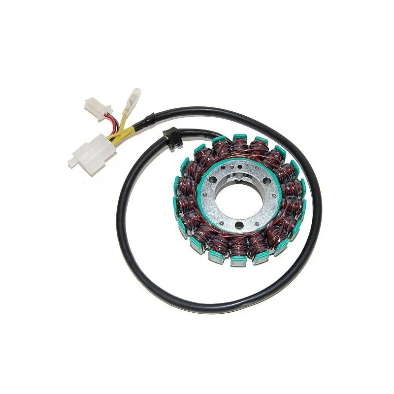 Lichtmaschine Motorrad anpassbar Original Electrosport KTM