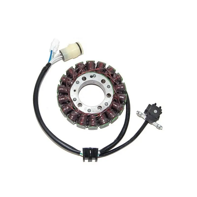 Lichtmaschine Motorrad anpassbar Original Electrosport Yamaha