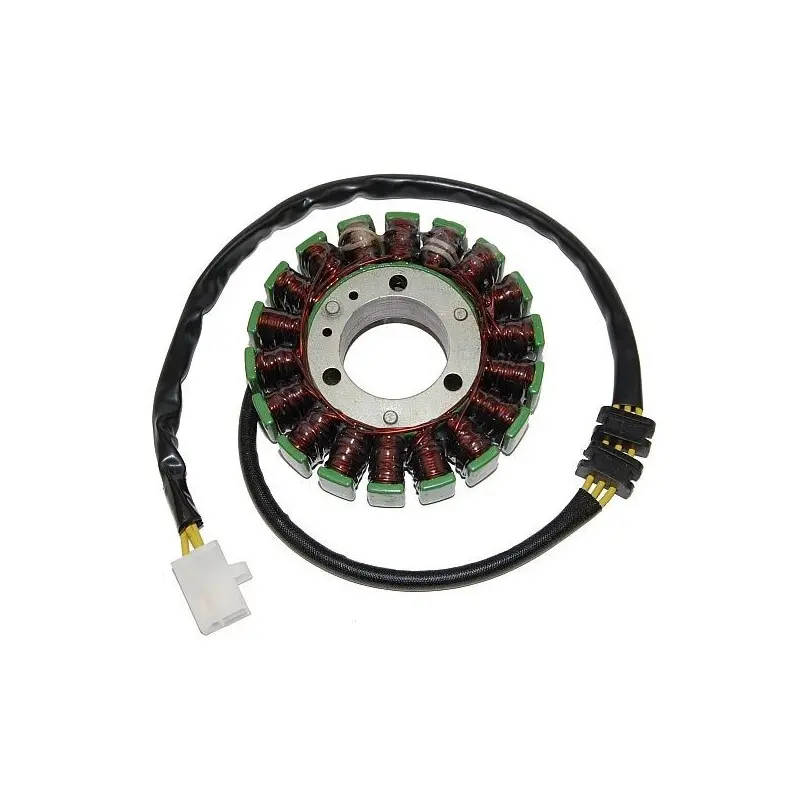 Lichtmaschine Motorrad anpassbar Original Electrosport Kawasaki