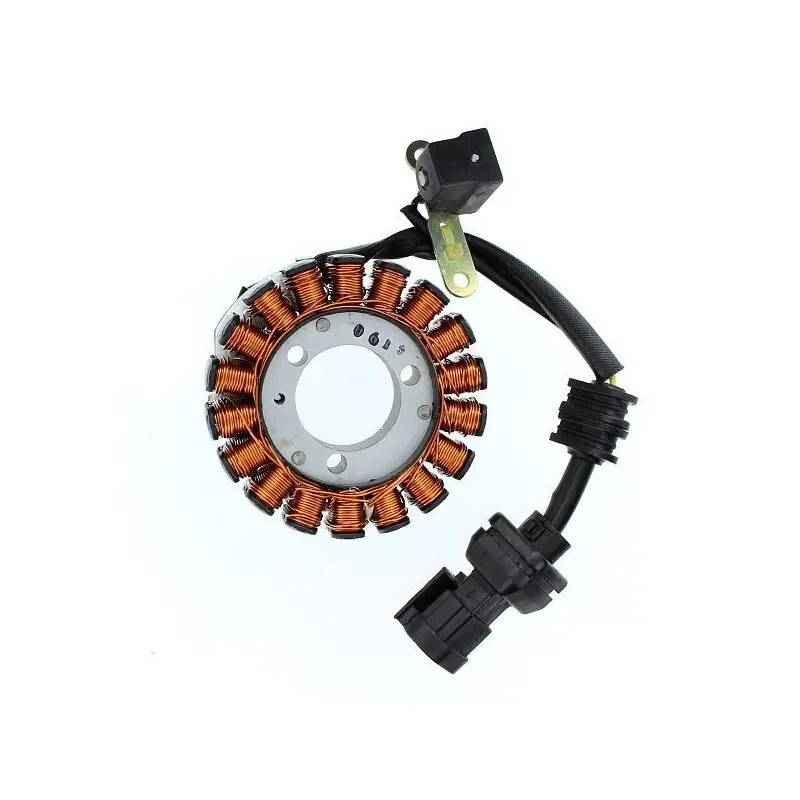 Lichtmaschine Motorrad anpassbar Original Electrosport Aprilia