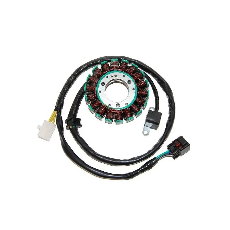 Lichtmaschine Motorrad anpassbar Original Electrosport Suzuki
