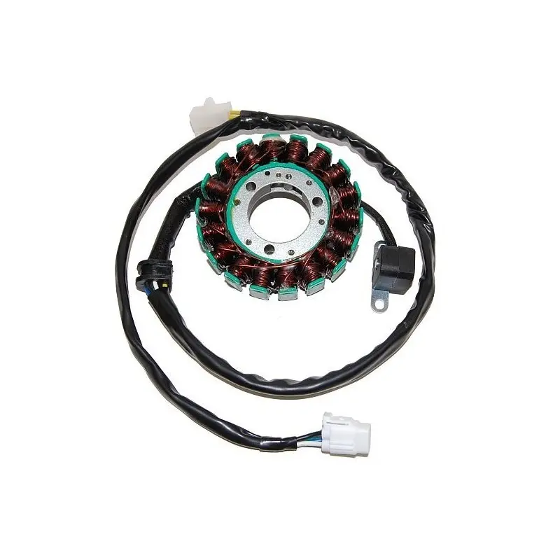 Lichtmaschine Motorrad anpassbar Original Electrosport Kawasaki
