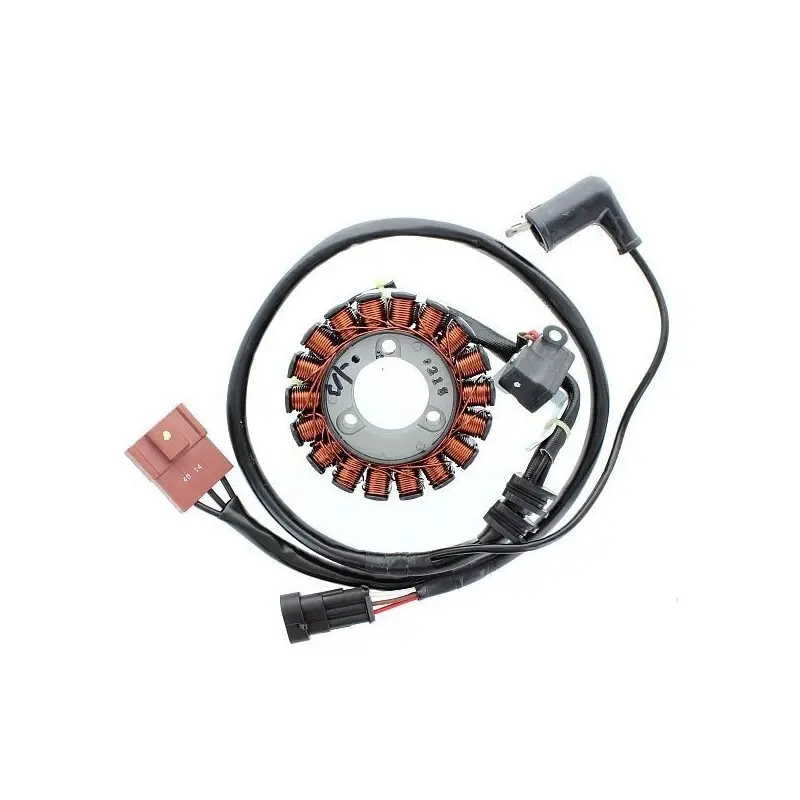 Lichtmaschine Motorrad anpassbar Original Electrosport Aprilia