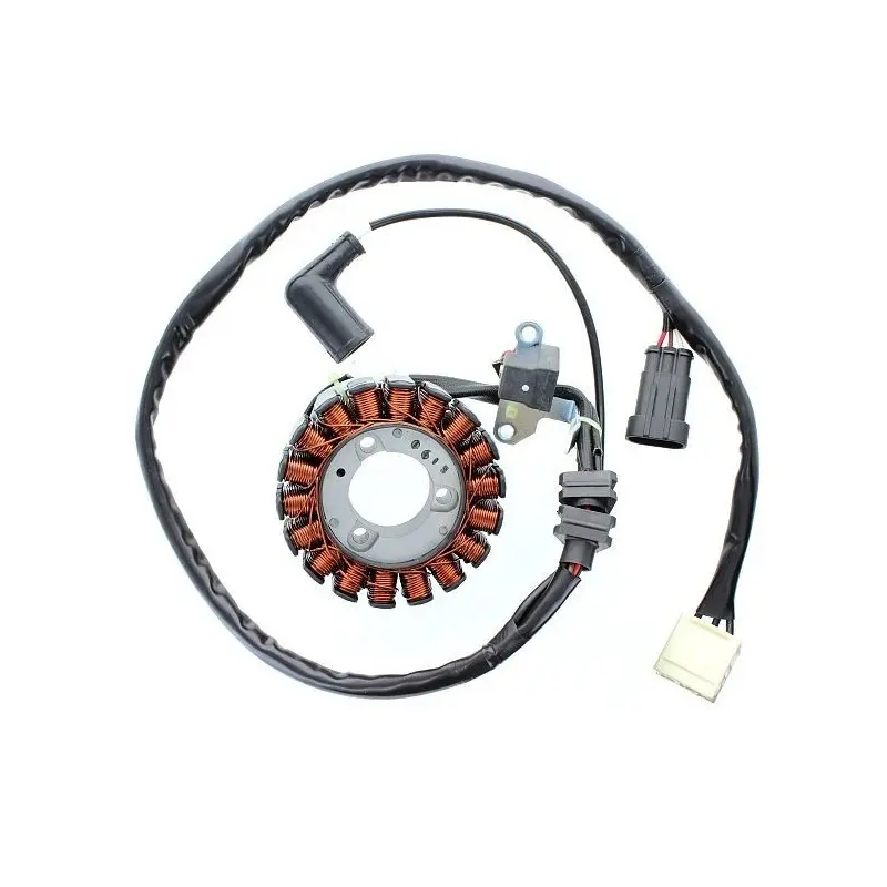 Lichtmaschine Motorrad anpassbar Original Electrosport Aprilia/Piaggio