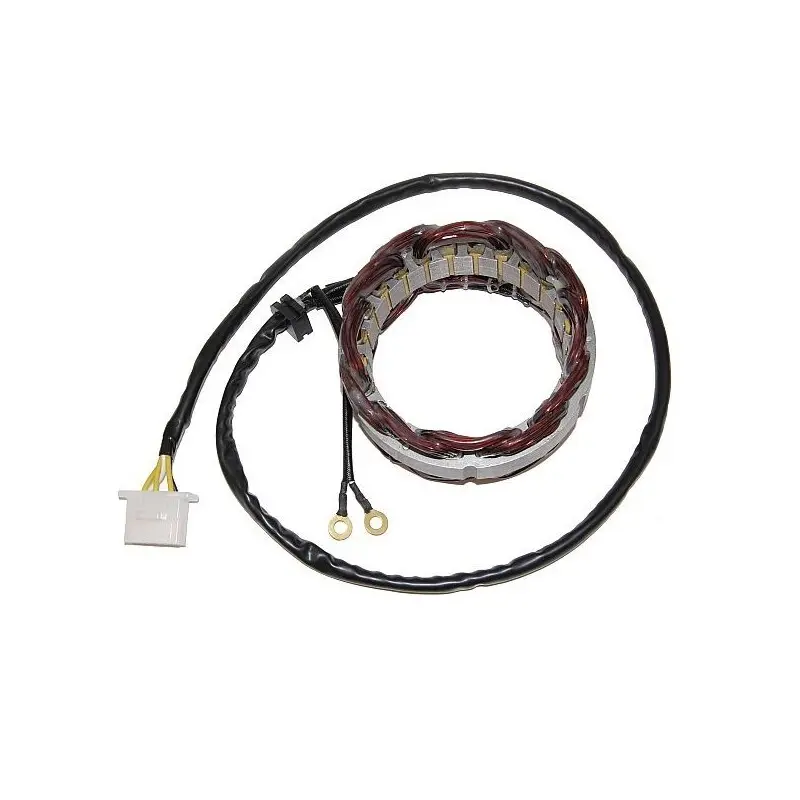 Lichtmaschine Motorrad anpassbar Original Electrosport Honda