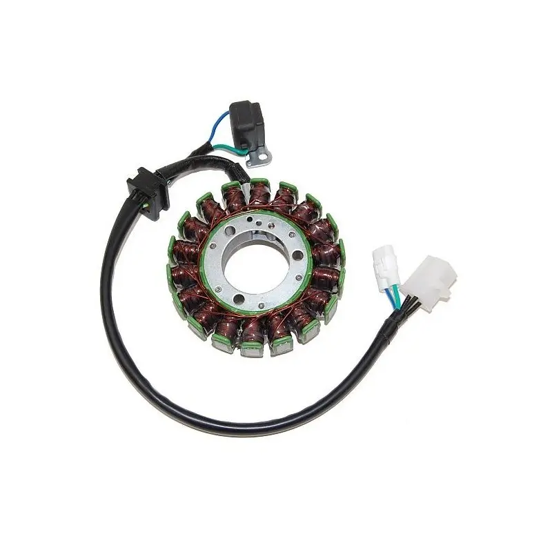 Lichtmaschine Motorrad anpassbar Original Electrosport Suzuki