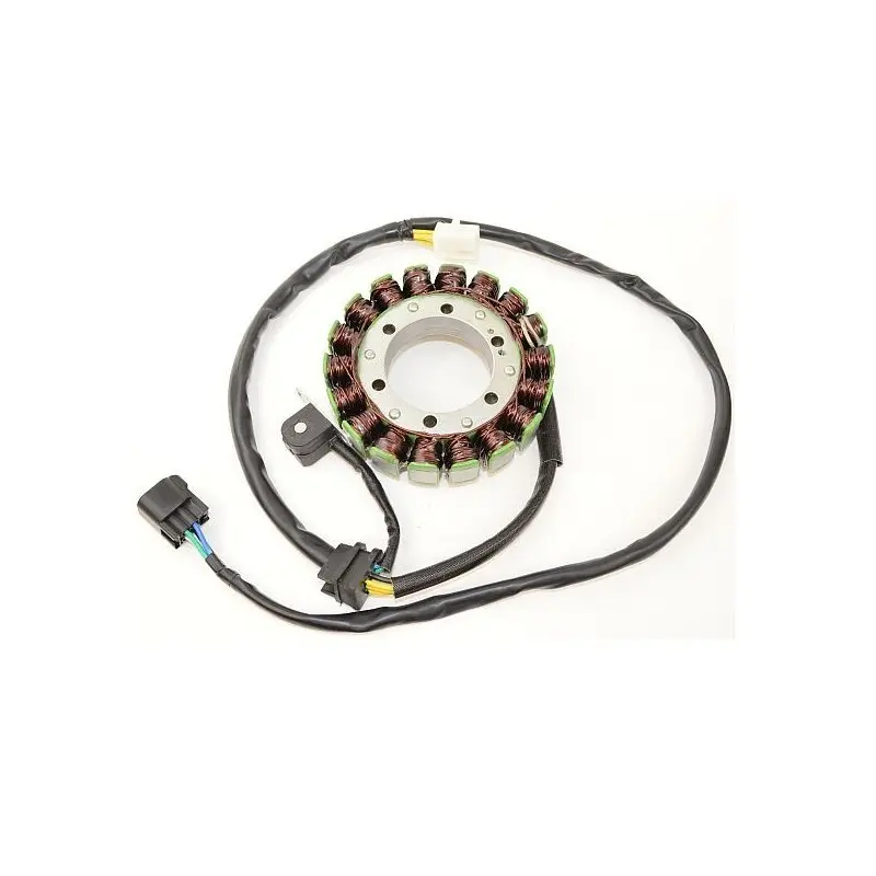 Lichtmaschine Motorrad anpassbar Original Electrosport Suzuki