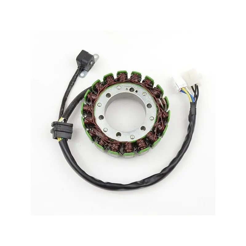 Lichtmaschine Motorrad anpassbar Original Electrosport Suzuki