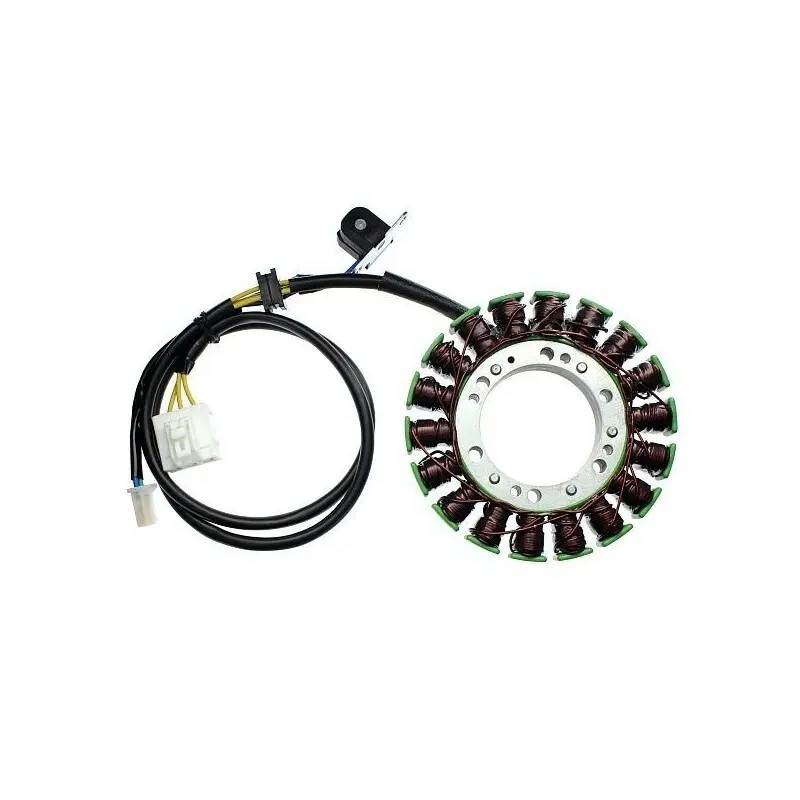 Lichtmaschine Motorrad anpassbar Original Electrosport Suzuki