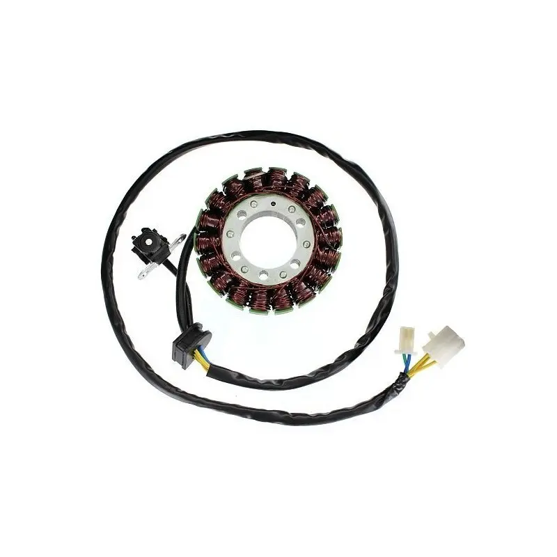 Lichtmaschine Motorrad anpassbar Original Electrosport Suzuki