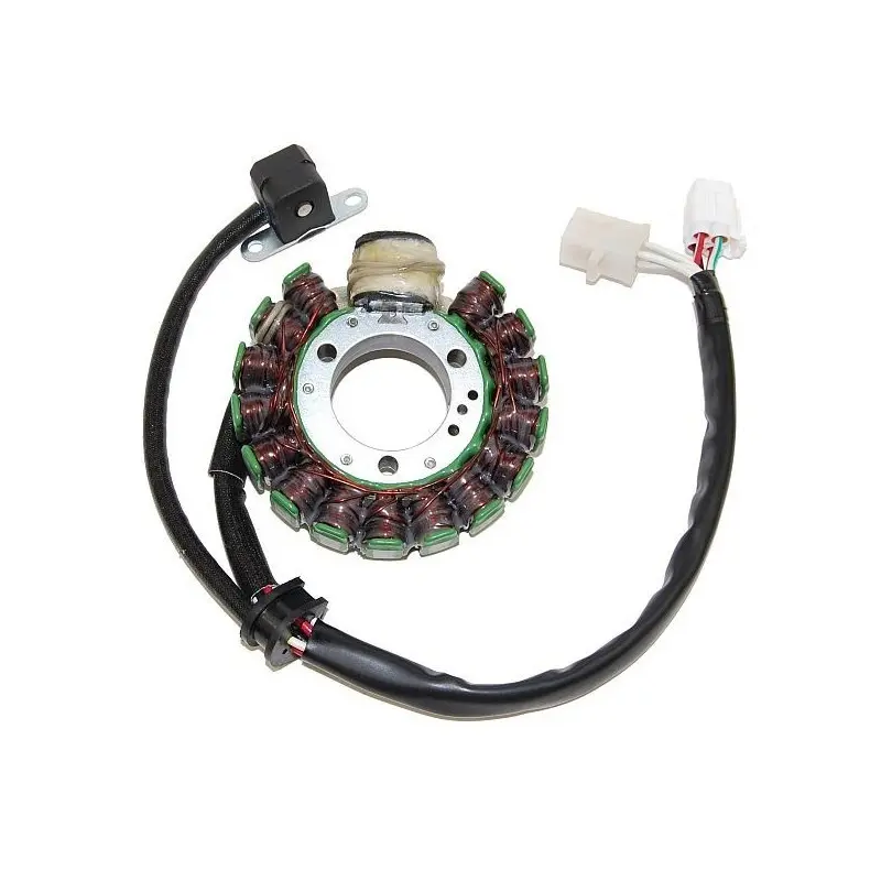 Lichtmaschine Motorrad anpassbar Original Electrosport Yamaha
