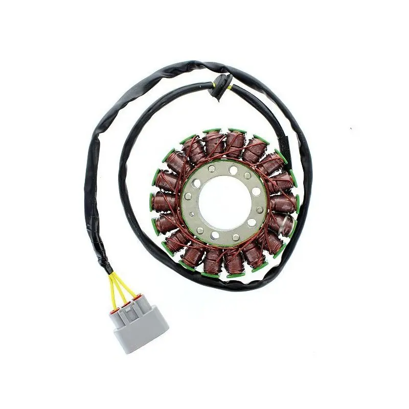 Anpassbare Lichtmaschine Electrosport BMW