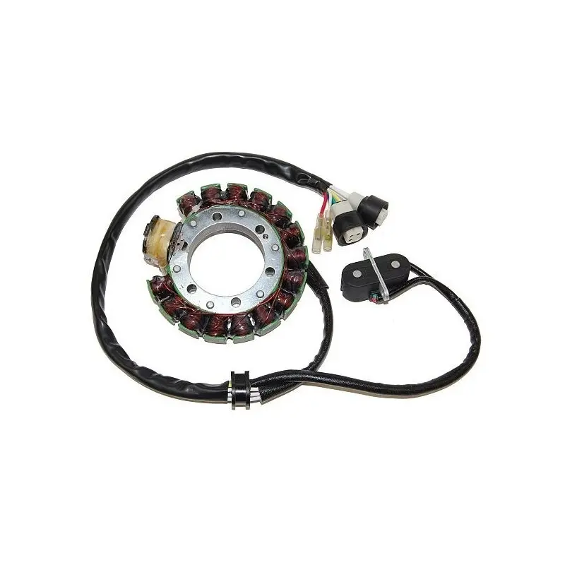 Lichtmaschine Motorrad anpassbar Original Electrosport Yamaha