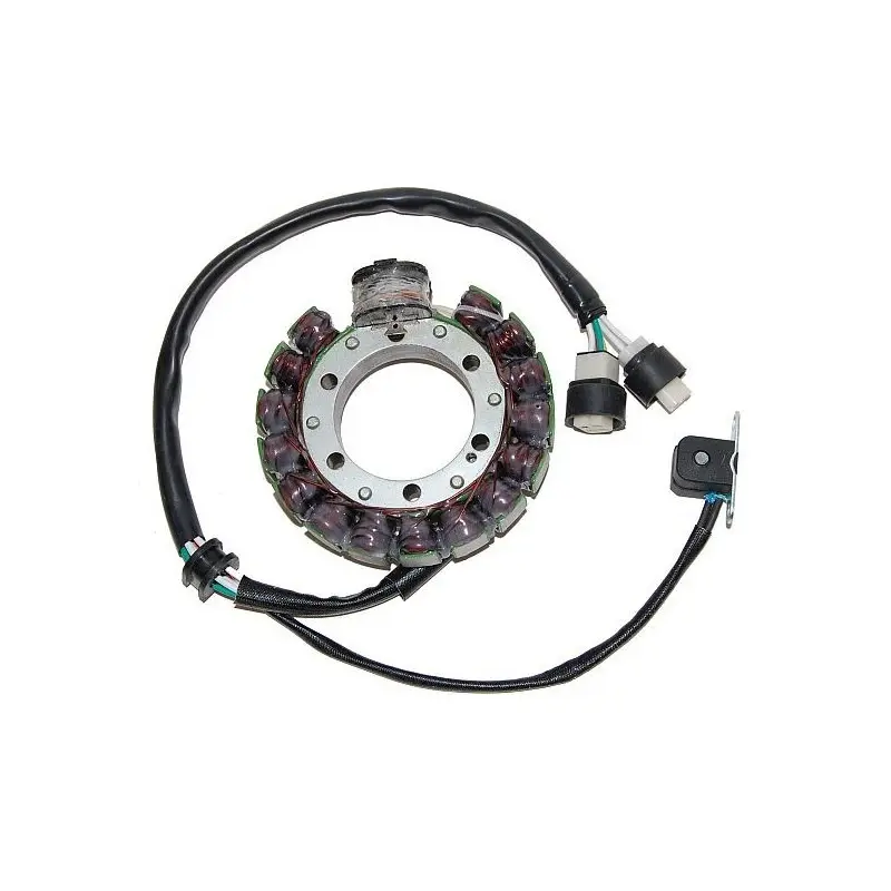Lichtmaschine Motorrad anpassbar Original Electrosport Yamaha