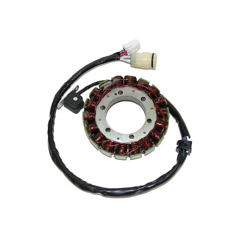 Lichtmaschine Motorrad anpassbar Original Electrosport Yamaha