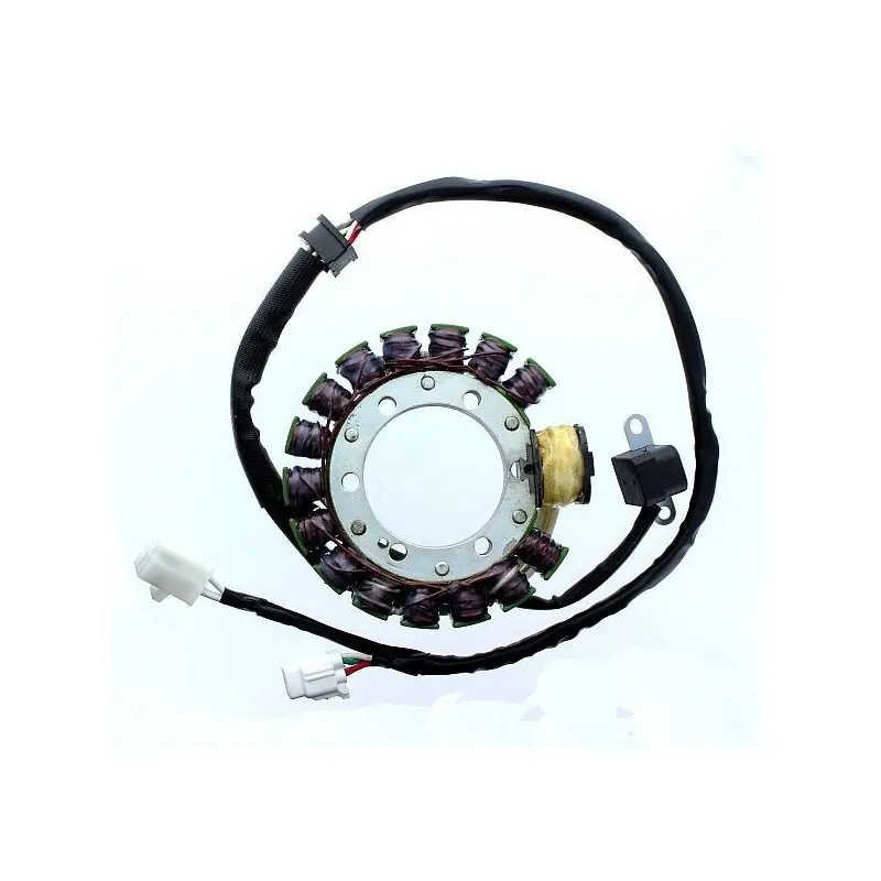 Lichtmaschine Motorrad anpassbar Original Electrosport Yamaha