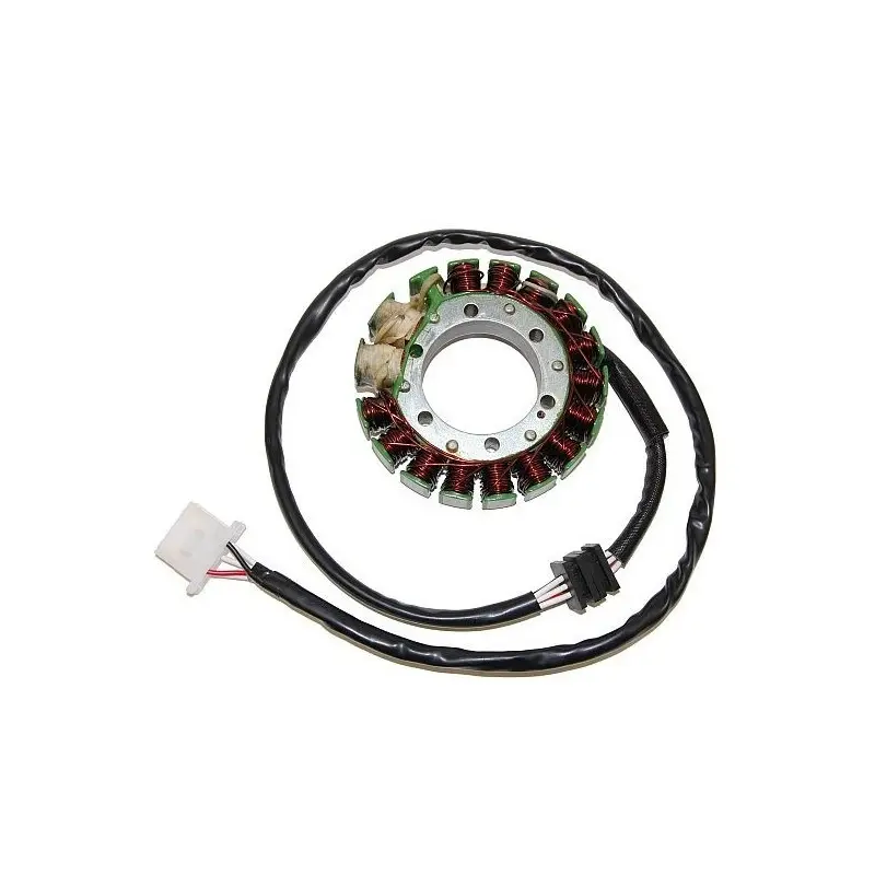 Lichtmaschine Motorrad anpassbar Original Electrosport Kawasaki