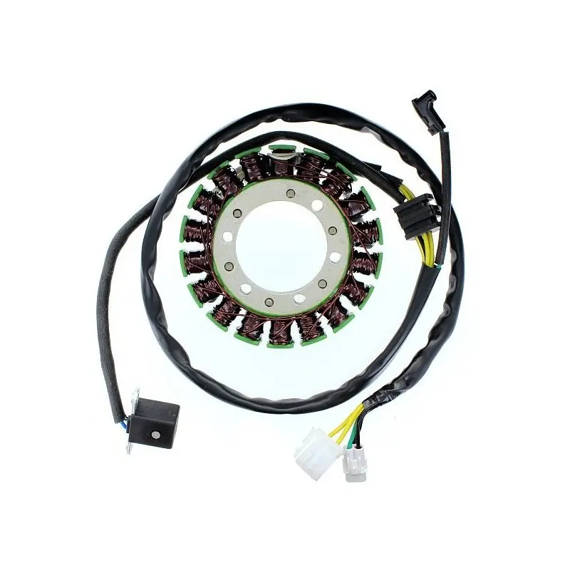 Lichtmaschine Motorrad anpassbar Original Electrosport Kawasaki