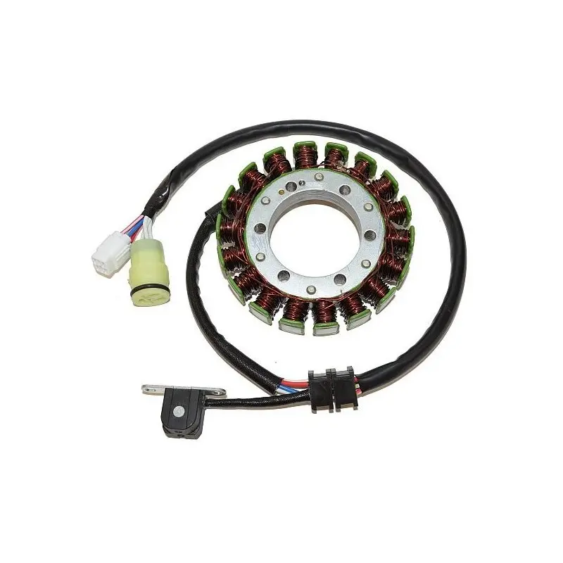 Lichtmaschine Motorrad anpassbar Original Electrosport Yamaha