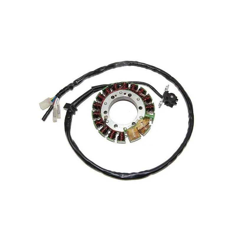 Lichtmaschine Motorrad anpassbar Original Electrosport Honda