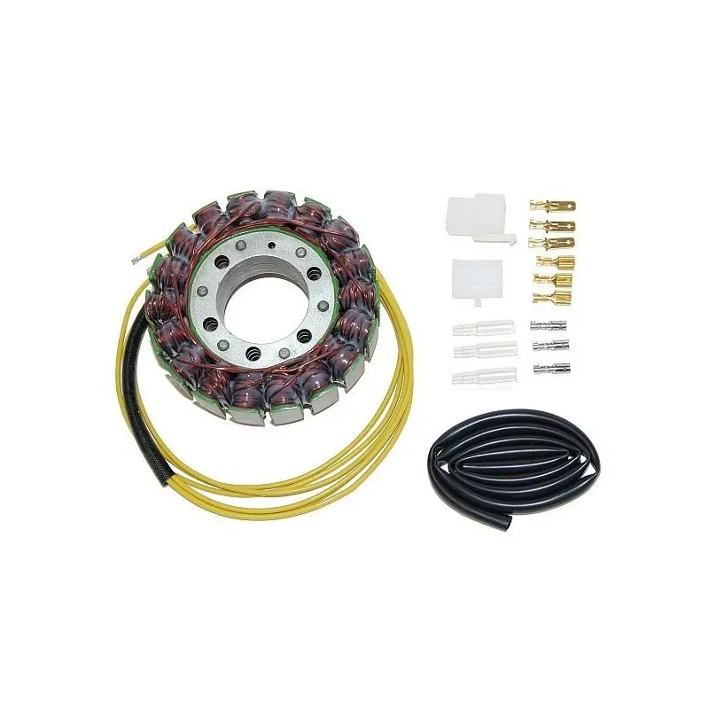 Anpassbare Lichtmaschine Electrosport