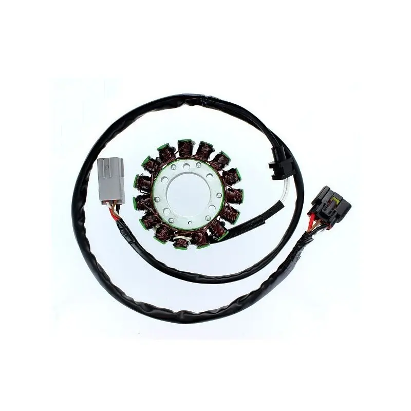 Lichtmaschine Motorrad anpassbar Original Electrosport Kawasaki
