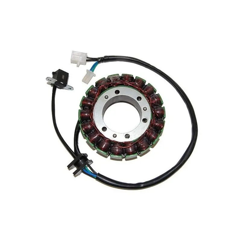 Anpassbare Lichtmaschine Electrosport Suzuki