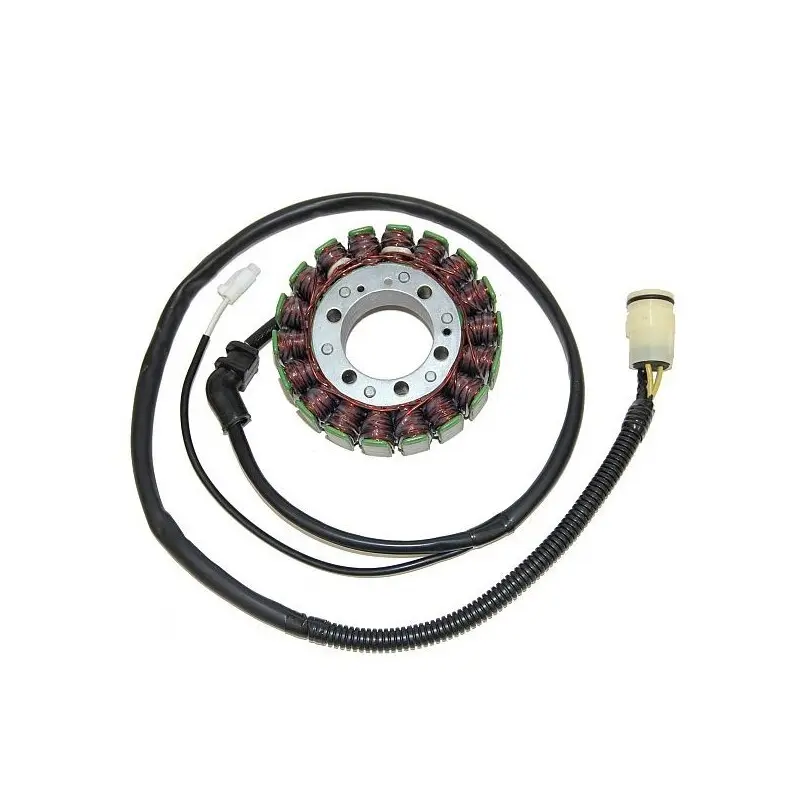 Lichtmaschine Motorrad anpassbar Original Electrosport Kawasaki