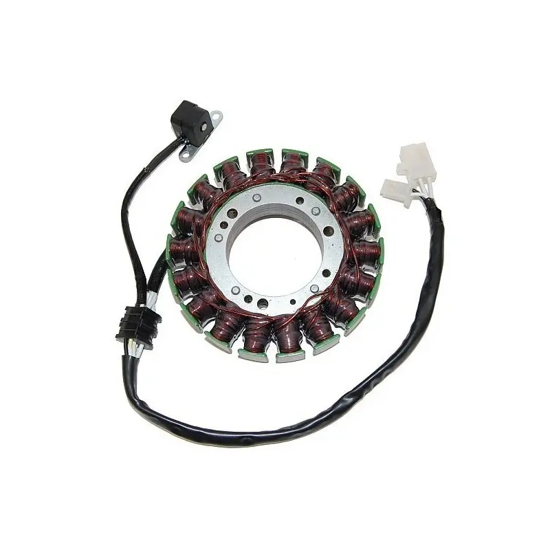 Lichtmaschine Motorrad anpassbar Original Electrosport Yamaha
