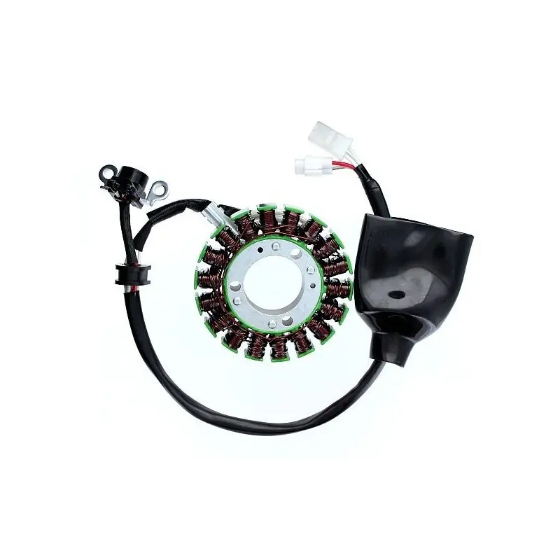 Lichtmaschine Motorrad anpassbar Original Electrosport Yamaha